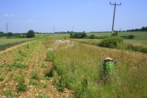 Rotherfield Park