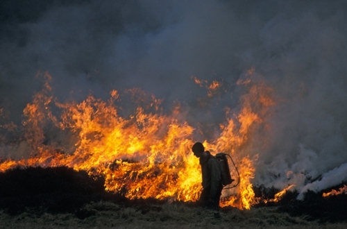 Keeper Heather Burning 2 www.davidmasonimages.com