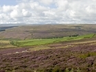 Is it an illusion or do our uplands deserve better?