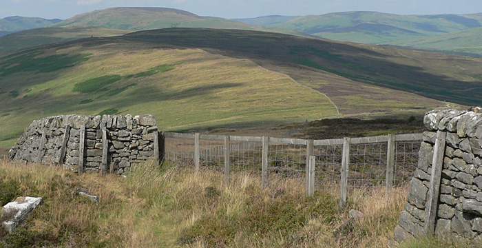 Langholm Moor Demonstration Project