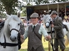 Trust delighted with sparkling silver event