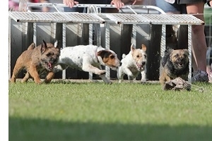 Pictures courtesy of Rosemary Walker
