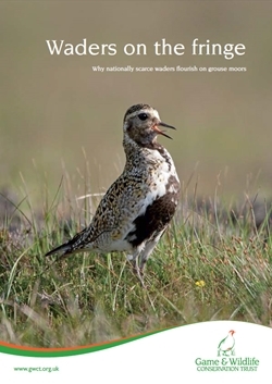 Waders on the Fringe