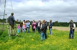 Visit our Allerton Project