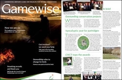 Free Gamewise magazines