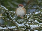 Wiltshire farmers celebrate nature’s gain on first anniversary