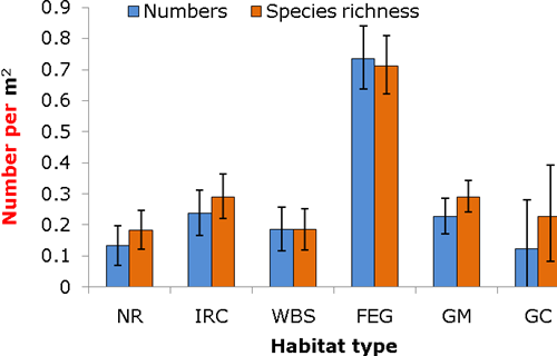 Number of wild bees and wild bee species in habitats (NR, IRC, WBS,FEG) on actively managed farms and most common farm managed habitats (GM, GC) in June. (NR=natural regeneration, IRC=insect-rich cover, WBS=wild bird seed, FEG=floristically enhanced grass, GM=grass margin, GC=game cover) Number of wild bees and wild bee species in habitats (NR, IRC, WBS,FEG) on actively managed farms and most common farm managed habitats (GM, GC) in June. (NR=natural regeneration, IRC=insect-rich cover, WBS=wild bird seed, FEG=floristically enhanced grass, GM=grass margin, GC=game cover)