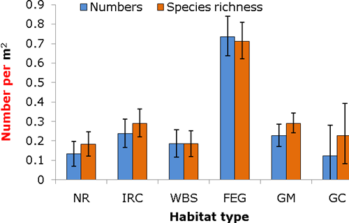 Number of wild bees and wild bee species in habitats (NR, IRC, WBS,FEG) on actively managed farms and most common farm managed habitats (GM, GC) in June. (NR=natural regeneration, IRC=insect-rich cover, WBS=wild bird seed, FEG=floristically enhanced grass, GM=grass margin, GC=game cover)