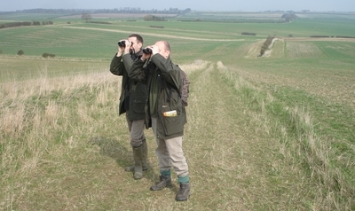 Bird survey Bird survey