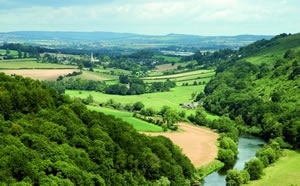 Reasonslandscape