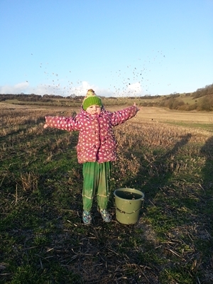 Three-year old Molly Puzey scatters food for the birds on her parent's sheep farm in Sussex. Photocredit: www.camillaandroly.co.uk