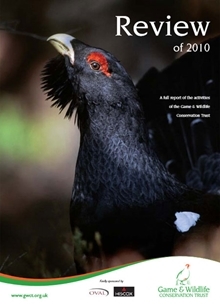 2010