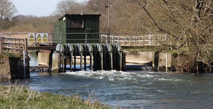 Counting salmon on the River Frome