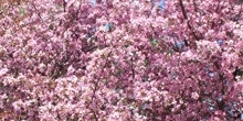 April