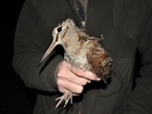 London talk raises thousands for woodcock research