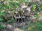 Borders date for essential training course
