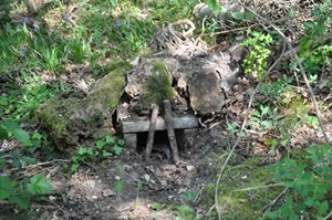 Tunnel trap