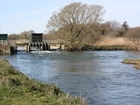 The highs and lows of Atlantic salmon monitoring in France and the UK