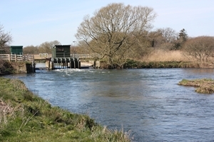 The GWCT’s Salmon & Trout Research Centre at East Stoke has been monitoring Atlantic salmon numbers in the River Frome since 1973