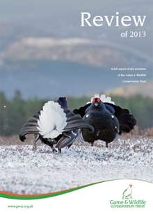 2013