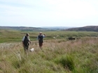 Grouse chicks hatch earlier as temperatures increase