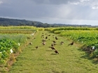 A wealth of advice for keepers at innovative Leicestershire farm