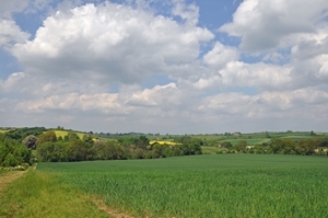 A four-year study carried out on the Game & Wildlife Conservation Trust’s Allerton Project research farm in Leicestershire offers renewed hope about crop production in the future