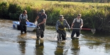 Were there fewer young salmon and trout in 2016 and if so, why?