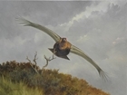 Nothing to grouse about with fabulous charity prize draw