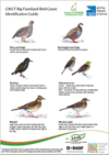 Bfbcidguidepage .fw
