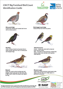 Bfbcidguidepage .fw Bfbcidguidepage .fw