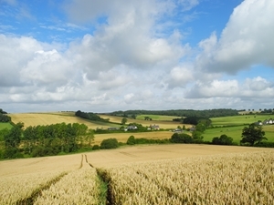 The GWCT's Allerton project is one of the partners in the new Defra-funded Sustainable Intensification Research Platform. Pictured a view of the mixed arable and livestock farm where a wide range of research has been carried out over more than twenty years.