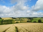 Farmland and wildlife get major boost from new Defra-funded research