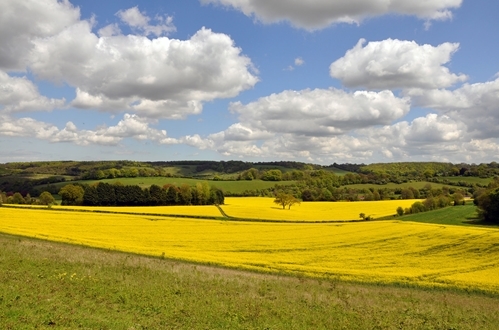 Kent In May Kent In May