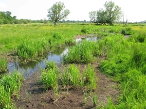 Avon Valley