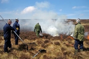 Muirburn at Langholm