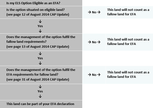 Is my ELS Option Eligible as an EFA? Is my ELS Option Eligible as an EFA?