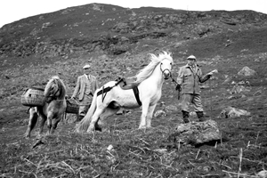 Keepers and ponies