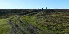 Response to Taking Forward Wales’ Sustainable Management of Natural Resources