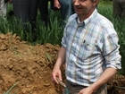 Digging for victory with healthy soils