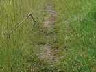 Challenging misinformation about fox control on BBC Radio 2