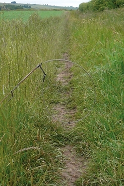 Snare correctly set to avoid entanglement