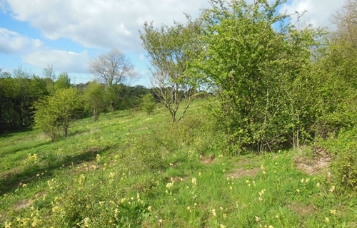 Disused railway line