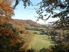 The quiet mellowness of late summer