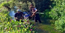 Which river characteristics provide better habitat for young salmon and trout?