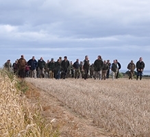 Grey Partridge Farm Walk