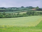 Bird recovery at GWCT and RSPB demonstration farms