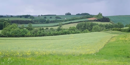 GWCT's Allerton Project farm