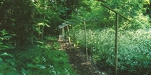 Sustainable gamebird releasing