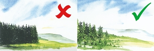 Plans for a re-designed forest edge at Catterick Camp with black grouse in mind Plans for a re-designed forest edge at Catterick Camp with black grouse in mind